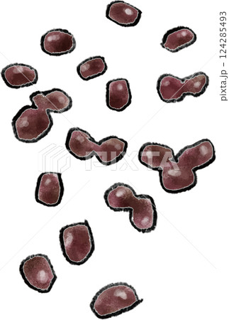 あずき　手書きイラスト 124285493