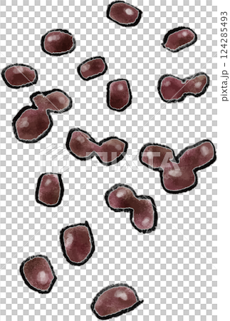 あずき　手書きイラスト 124285493