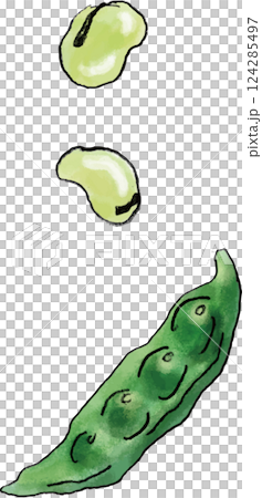 枝豆　手書きイラスト 124285497