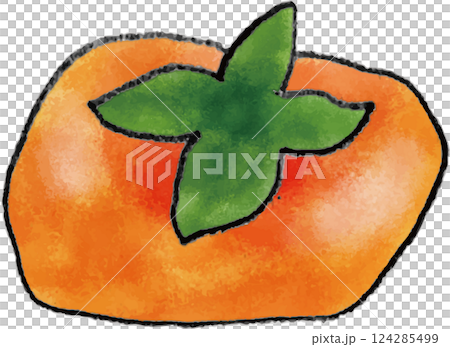 果物　手書きイラスト 124285499