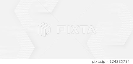 Minimal White Abstract Background with Subtle Hexagonal Line Pattern 124285754