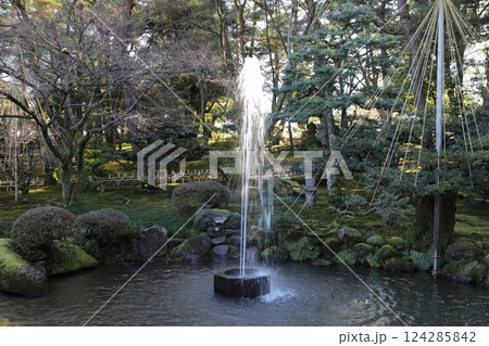 しぶき シブキ 兼六園 124285842