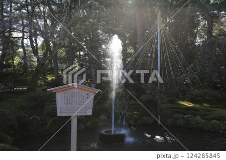 しぶき シブキ 兼六園 124285845