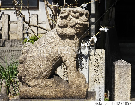 月洲神社の狛犬 124285858
