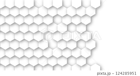 シルエット 和柄 模様 背景 シルエット 和柄 模様 背景 124285951