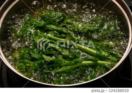 食用菜の花を鍋で茹でる　 124286010