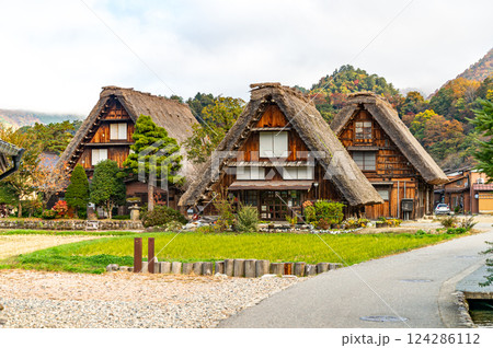 秋の白川郷 合掌造り三兄弟 124286112