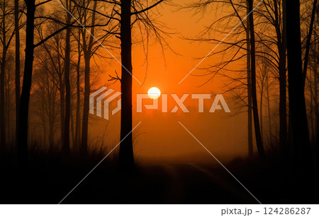 Sunset in forest with bare trees and orange sky, silhouette effect from sunlight, peaceful and serene nature scene, tranquil background Sunset in forest with bare trees and orange sky, silhouette effect from sunlight, peaceful and serene nature scene, tranquil background 124286287