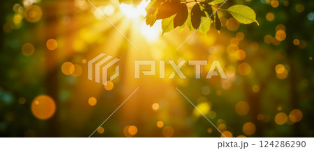 Sunlight through green leaves with bright golden bokeh, natural forest background, summer nature scene, warm light, peaceful atmosphere, glowing sunbeams, relaxing sunlight effect Sunlight through green leaves with bright golden bokeh, natural forest background, summer nature scene, warm light, peaceful atmosphere, glowing sunbeams, relaxing sunlight effect 124286290