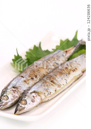 サンマの塩焼き 焼き魚 明るい背景 サンマの塩焼き 焼き魚 明るい背景 124286636
