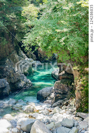 <長野>阿寺渓谷の美しい絶景 <長野>阿寺渓谷の美しい絶景 124286835