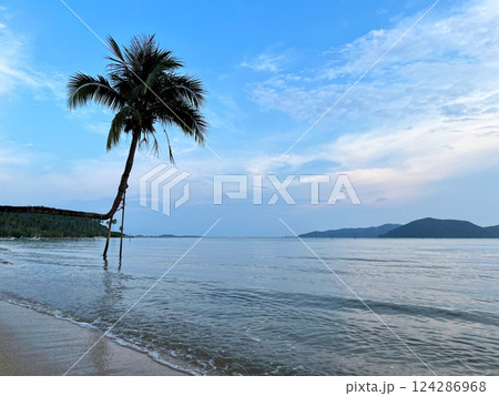 A leaning coconut tree on a tropical beach with calm waves and a blue sky, creating a peaceful and relaxing seaside atmosphere 124286968