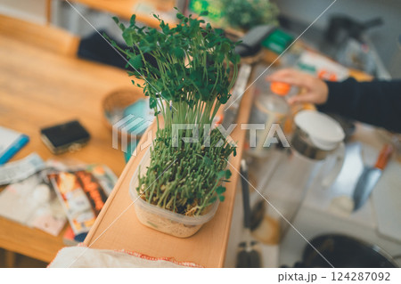 various various 124287092