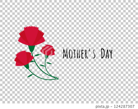 A bouquet of red carnations on Mother's Day A bouquet of red carnations on Mother's Day 124287307