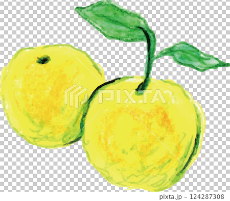 Aroma essential oil citrus bergamot 124287308