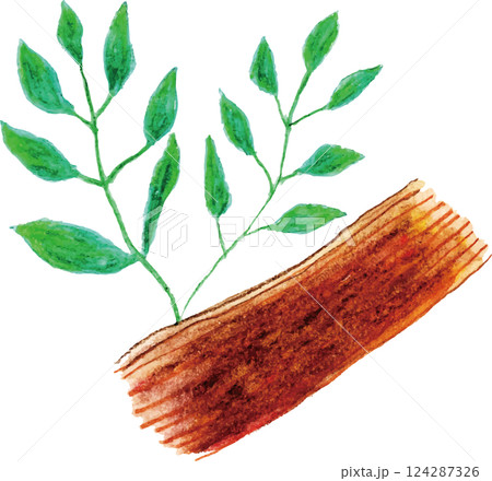 アロマエッセンシャルオイル エキゾチック系 サンダルウッド アロマエッセンシャルオイル エキゾチック系 サンダルウッド 124287326