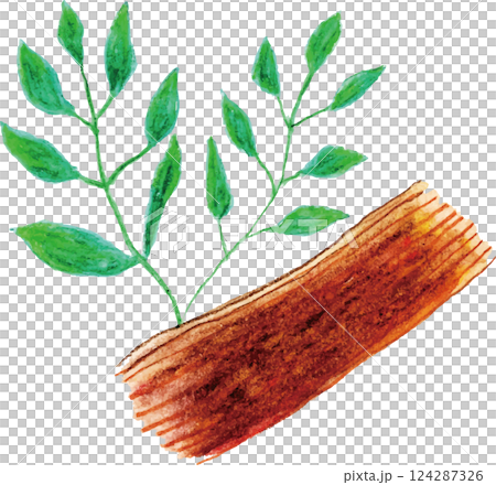 Aroma essential oil exotic sandalwood 124287326