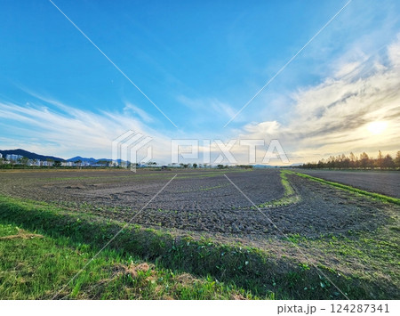 field with sunset 124287341