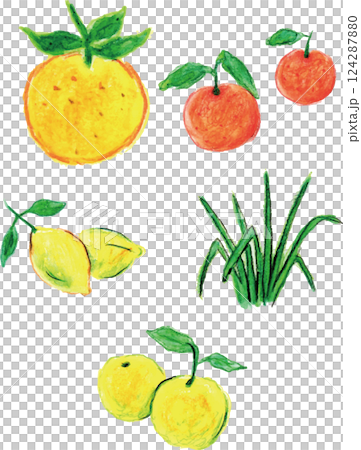 芳香精油柑橘 124287880