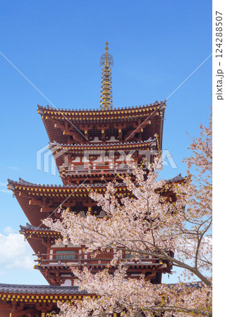 満開の桜と薬師寺西塔 124288507