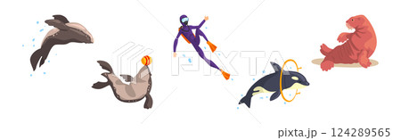Oceanarium or Dolphinarium with Sea Animals and Trainers Performing Stunt Vector Set 124289565