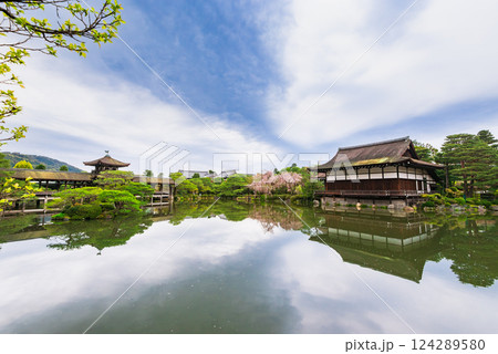 春の京都 平安神宮 神苑 春の京都 平安神宮 神苑 124289580