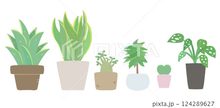 観葉植物 124289627