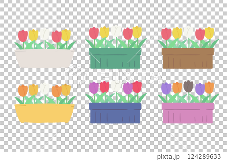 鬱金香盆栽套裝 124289633