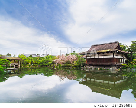 春の京都 平安神宮 神苑 春の京都 平安神宮 神苑 124289693