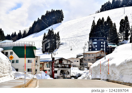 石打丸山スキー／観光口、ダイナミックコース周辺を望む(新潟県南魚沼市)【2025.3】 124289704