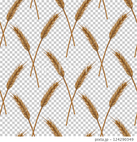 Watercolor Wheat and Barley Seamless Pattern Watercolor Wheat and Barley Seamless Pattern 124290349