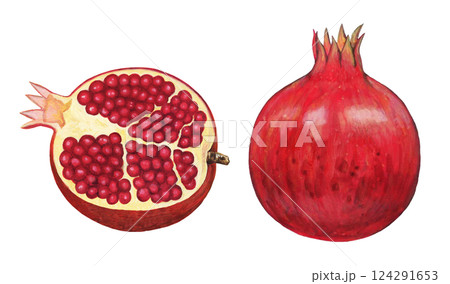 ザクロのイラスト 124291653