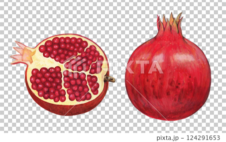 石榴的插圖 124291653