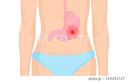 Stomach organ. Flat cartoon vector illustration. Health care concept. Isolated vector icon. Human organs isolated on white background. Stomach organ. Flat cartoon vector illustration. Health care concept. Isolated vector icon. Human organs isolated on white background. 124291727