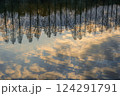 水面に映る空と冬の木立 124291791