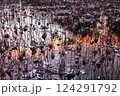 雪の朝　枯蓮 124291792