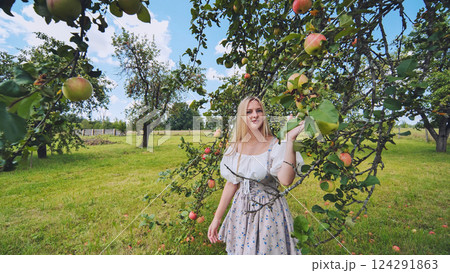 Blond female gathering red ripe apples, sunlight streaming through fruit laden branches of rural wooden orchard Blond female gathering red ripe apples, sunlight streaming through fruit laden branches of rural wooden orchard 124291863