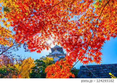 大阪城と鮮やかな紅葉 大阪城と鮮やかな紅葉 124293182