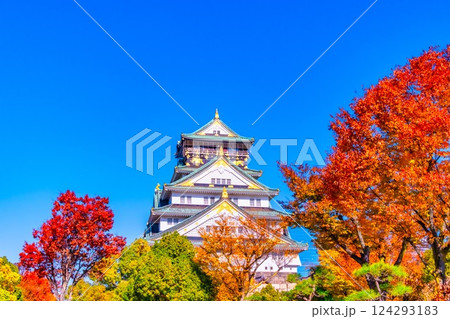 大阪城と鮮やかな紅葉 124293183
