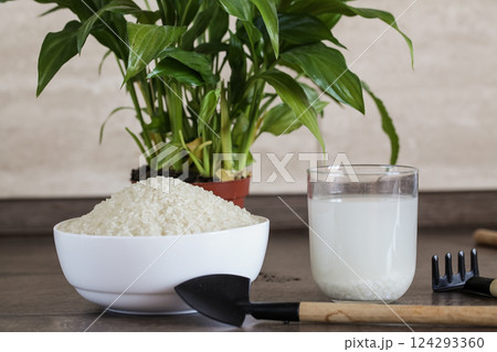 Fertilizer for Soil Rice Water. Organic waste, Bio Compost waste recycling Fertilizer for Soil Rice Water. Organic waste, Bio Compost waste recycling 124293360