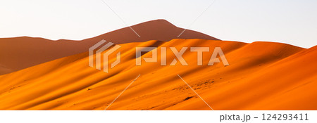 The early morning light bathes the red sand dunes of the Namib Desert in a warm glow, highlighting their smooth curves and sharp edges. Sossusvlei, Namib-Naukluft National Park, Namibia, Africa. 124293411