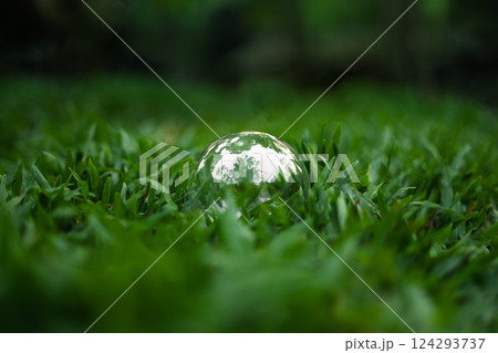 Marble reflects trees in the forest on dark green grass. 124293737