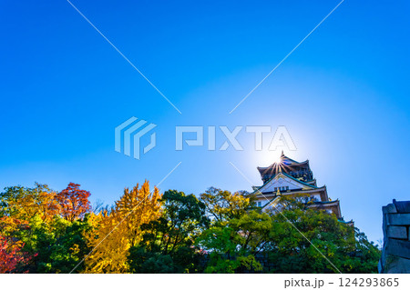 秋の大阪城 秋の大阪城 124293865
