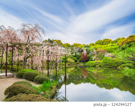 春の京都　平安神宮　神苑 124294127
