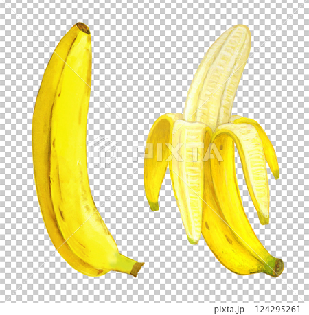 香蕉插圖 124295261
