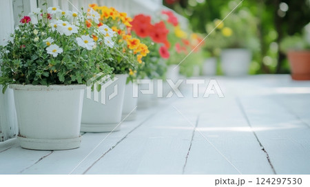 Colorful potted flowers resting on white wooden background 124297530