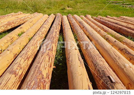 Peeling logs for building houses Peeling logs for building houses 124297815