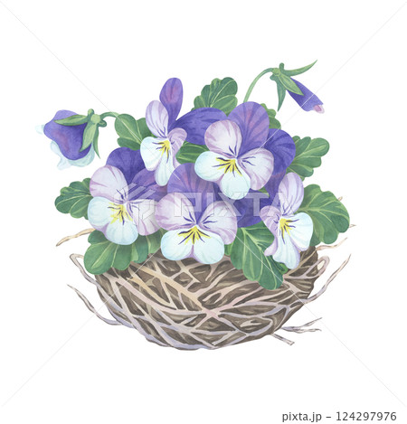 Watercolor purple pansies in a bird's nest. Spring time hand-painted illustration of viola flowers on a white background Watercolor purple pansies in a bird's nest. Spring time hand-painted illustration of viola flowers on a white background 124297976