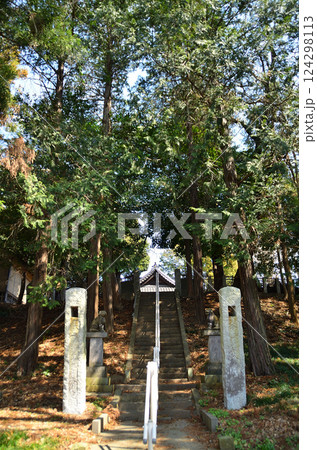 埼玉県鴻巣市滝馬室の氷川神社 124298113