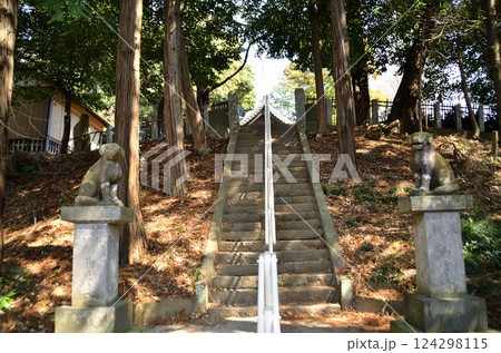 埼玉県鴻巣市滝馬室の氷川神社 埼玉県鴻巣市滝馬室の氷川神社 124298115